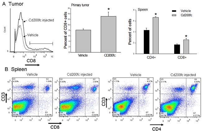 Flow cytometric analysis of CD8+ and CD4+ cells.