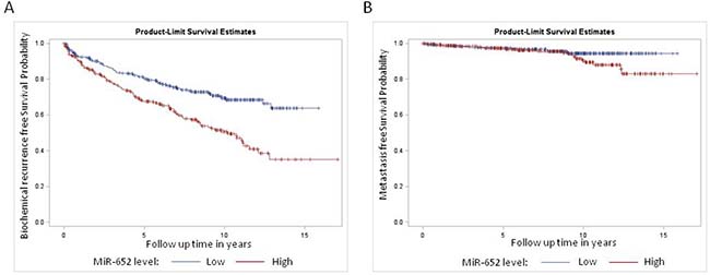 Kaplan Meier survival analysis for