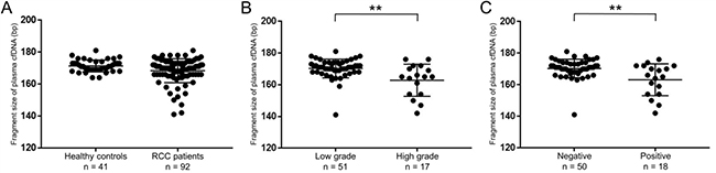 Fragment sizes of plasma cfDNA in RCC patients were shorter than those in healthy controls.