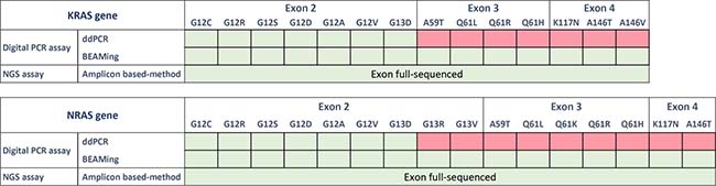 List of the panels provided by Biorad (ddPCR), Sysmex Inostics (OncoBEAM-TM-RAS-CRC) and Swift Biosciences (56G oncology library panel).