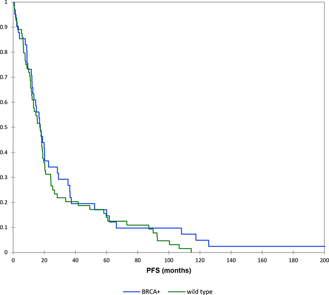 Kaplan&#x2013;Meier curves: progression free survival (brcamut vs wild type patients).