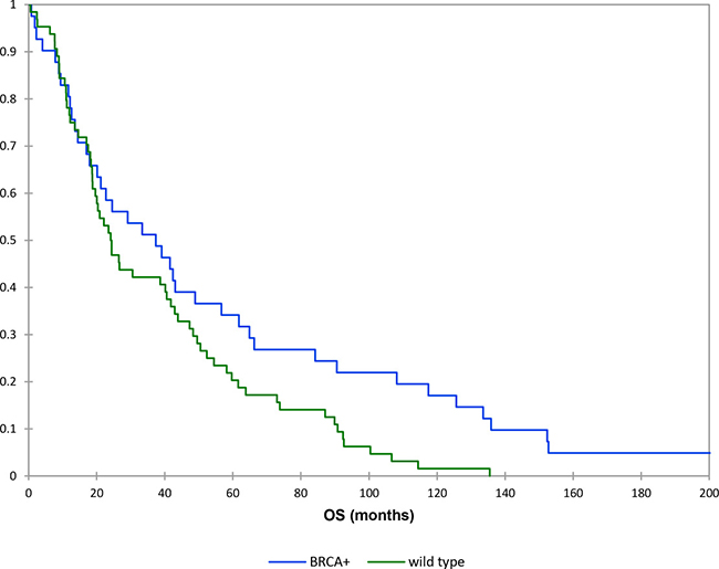 Kaplan&#x2013;Meier curves: overall survival (brcamut vs wild type patients).