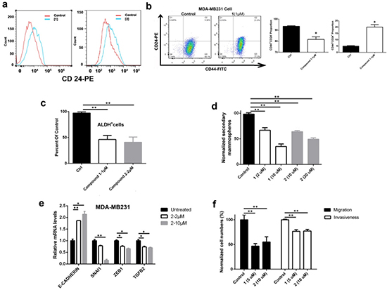 DOT1L inhibition induced cell differentiation, inhibited stem-like cells and cell migration/invasion, and corrected dysregulated gene expression of MDA-MB231 cells.