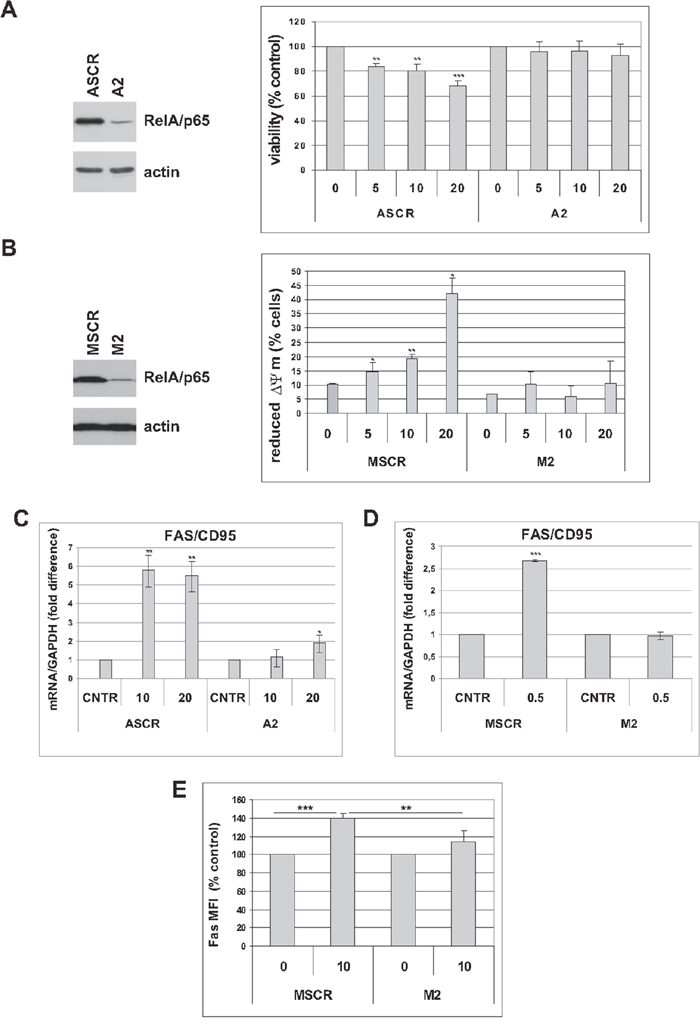 RelA/p65 mediates cytotoxic effects of trabectedin in senescent tumor cells.