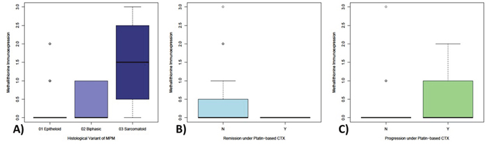 Differential expression of metallothionein in MPM samples with respect to histological and therapy-associated subgroups.