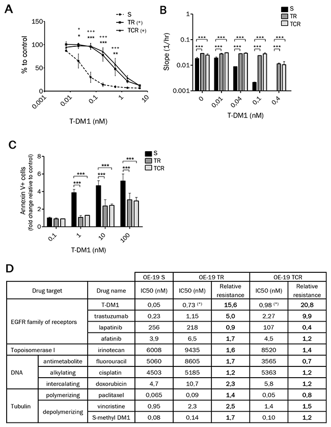 Chronic exposure to T-DM1 of OE-19 cell line results in resistance to this immunoconjugate.