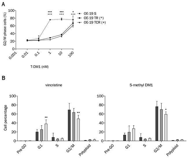 T-DM1-induced cell cycle arrest is impaired in OE-19 TR and TCR compared to OE-19 S.