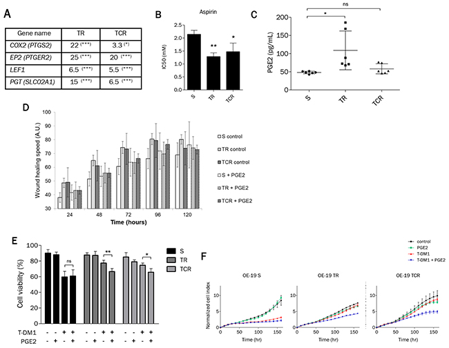 Prostaglandin E2 mediates sensitivity to T-DM1 in resistant cells.