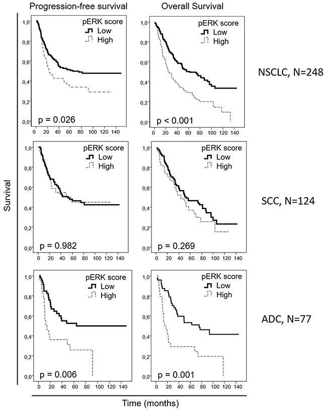 Overall and progression-free Kaplan-Meier survival curves for the entire NSCLC patient cohort and for the squamous cell carcinoma (SCC) and adenocarcinoma (ADC) patients, attending to the pERK score, as assessed by IHC.