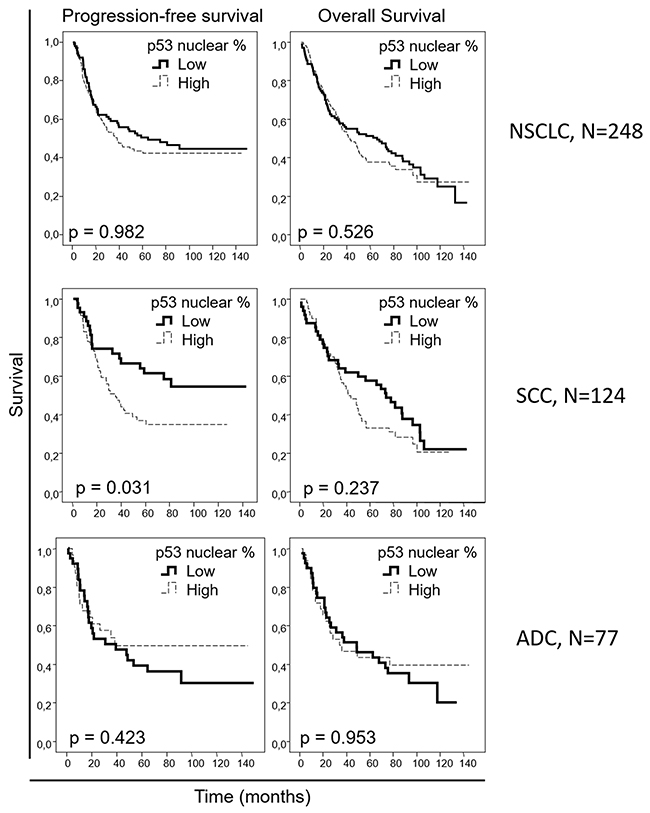 Overall and progression-free Kaplan-Meier survival curves for the entire NSCLC patient cohort and for the squamous cell carcinoma (SCC) and adenocarcinoma (ADC) patients, attending to the nuclear p53 percentage, as assessed by IHC.