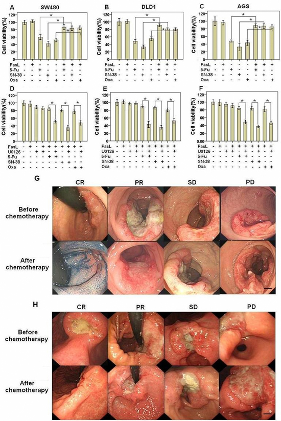 Fas activation confers GI cancer cells with chemoresistance.