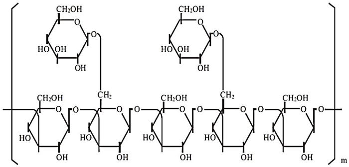 The polymeric structure of &beta;-glucans.