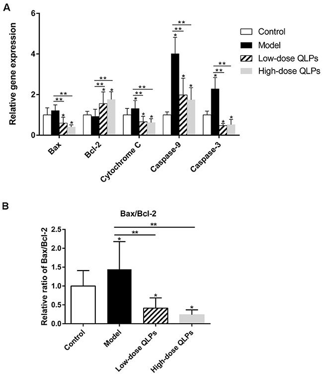 Relative mRNA levels of apoptosis-related genes.