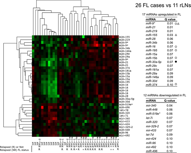 Profile of miRNAs differentially expressed between FLs and rLNs.