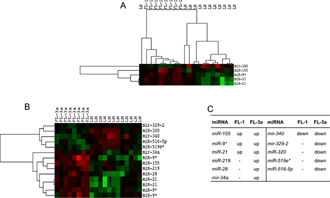 Profile of miRNAs differentially expressed between FL grade 1 or 3a and rLNs.