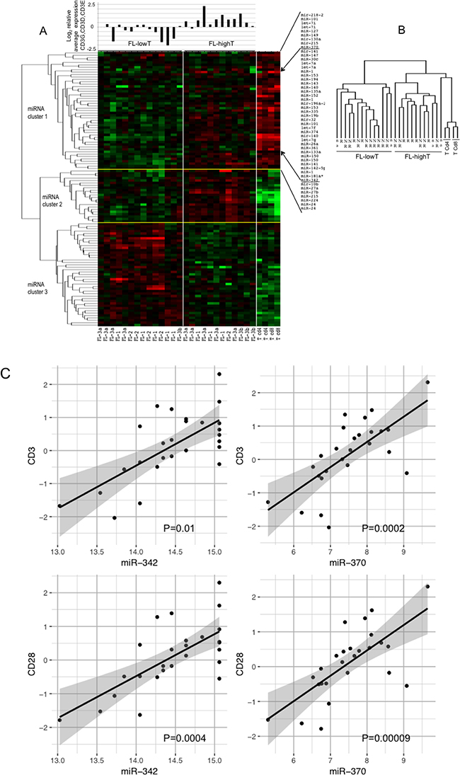 Profile of miRNAs differentially expressed among FLs, CD4+ T-cells and CD8+ T-cells.