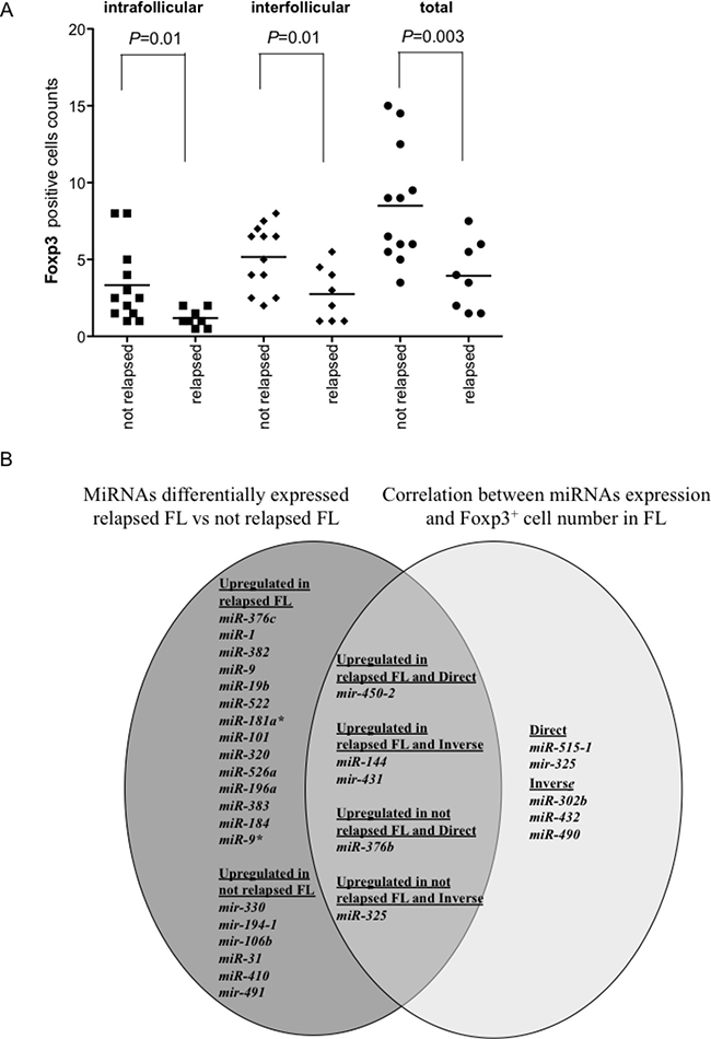 Foxp3+ cell counts in relapsed and not relapsed FLs and Venn diagram of miRNAs upregulated in relapsed or not relapsed FLs and of miRNAs correlated directly or inversely with Foxp3+ cell counts.