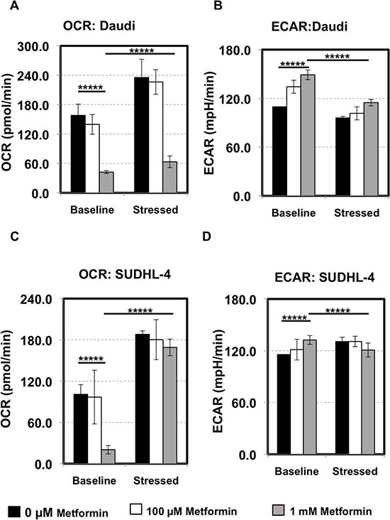 Lymphoma cells prefer oxidative phosphorylation over glycolysis.