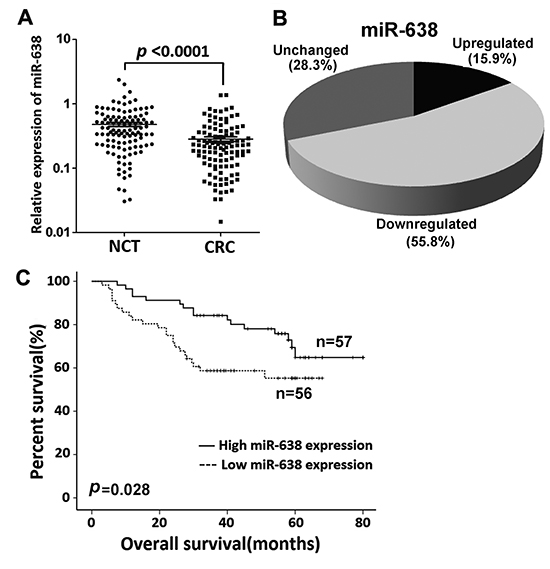 miR-638 expression is frequently reduced in CRC.