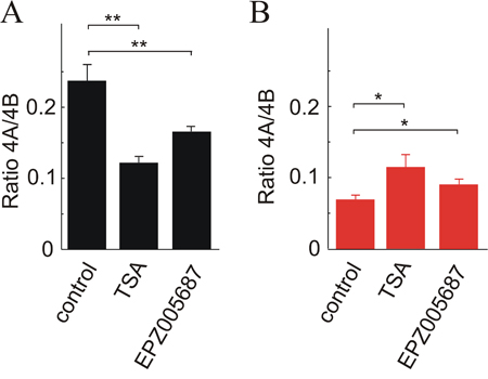 Effects of the changes in the level of H3 acetylation and H3K27 methylation on the KRAS 4A/4B ratio.