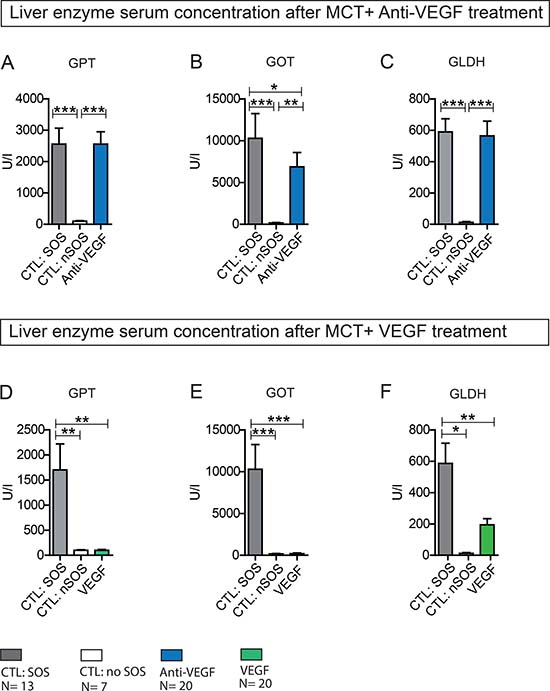 Liver enzyme serum concentration after MCT+ Anti-VEGF/VEGF treatment.