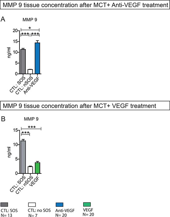 MMP 9 liver tissue concentration after MCT+ Anti-VEGF/VEGF treatment.