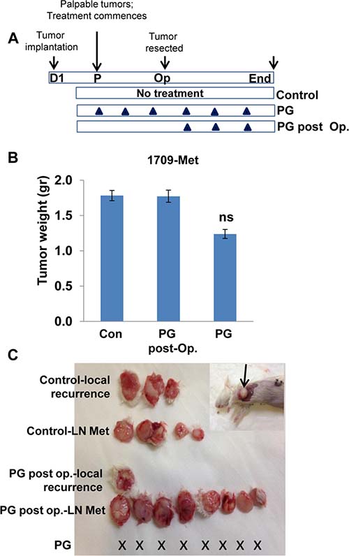 PG545