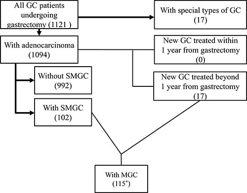 Characteristics of the enrolled study patients.