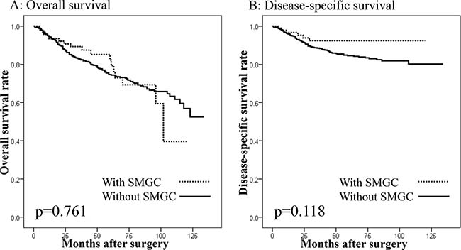 Survival curves of patients undergoing gastrectomy with curative intent according to the presence of synchronous multiple gastric cancers (SMGC).