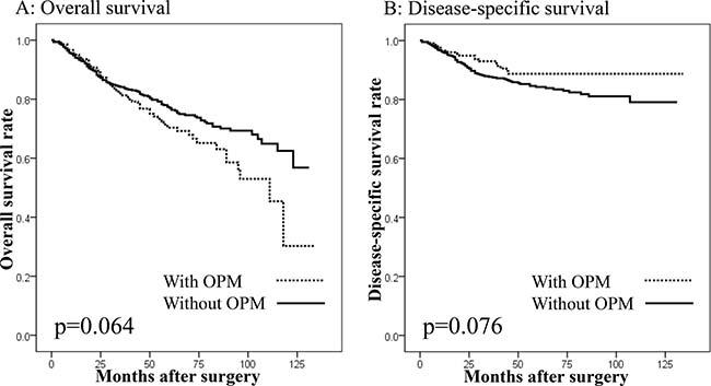 Survival curves in patients undergoing gastrectomy with curative intent according to the presence of other primary malignancies (OPMs).