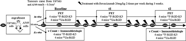 Figure 6: