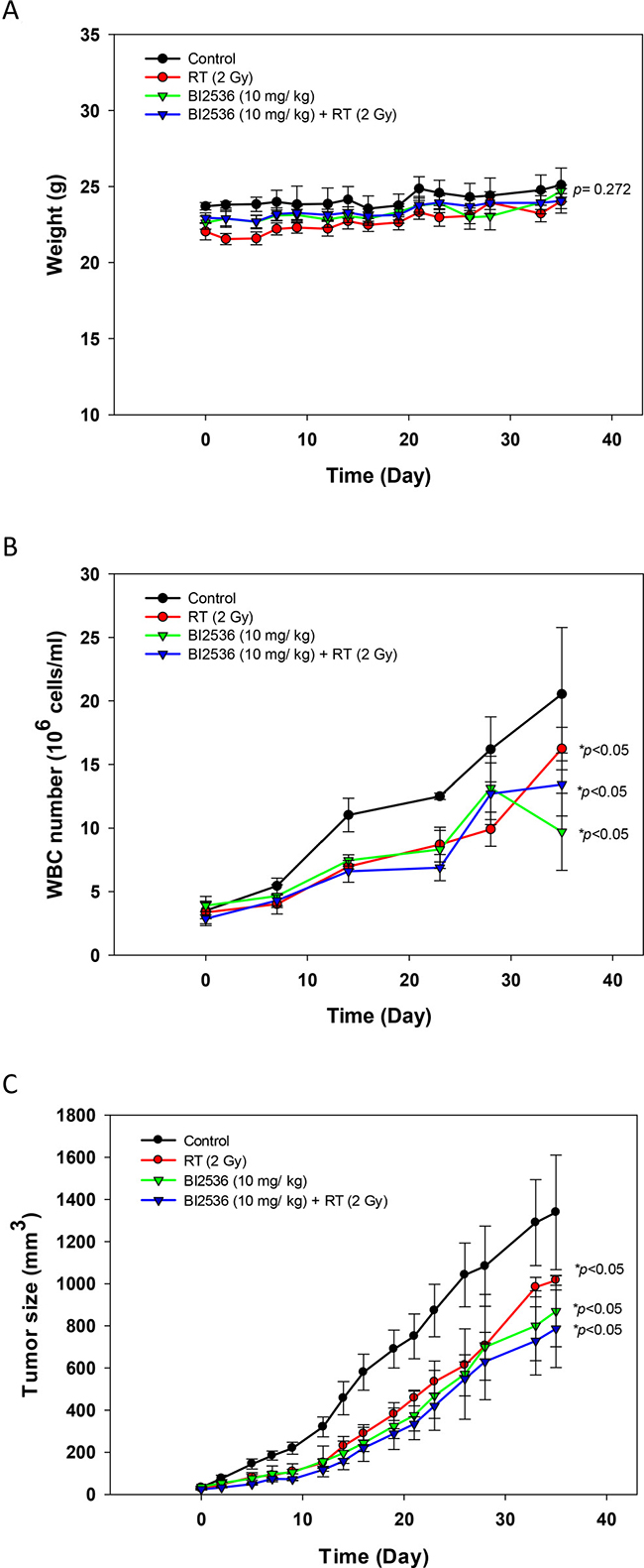 Effects of radiation and BI2536 in SAS xenograft mice.