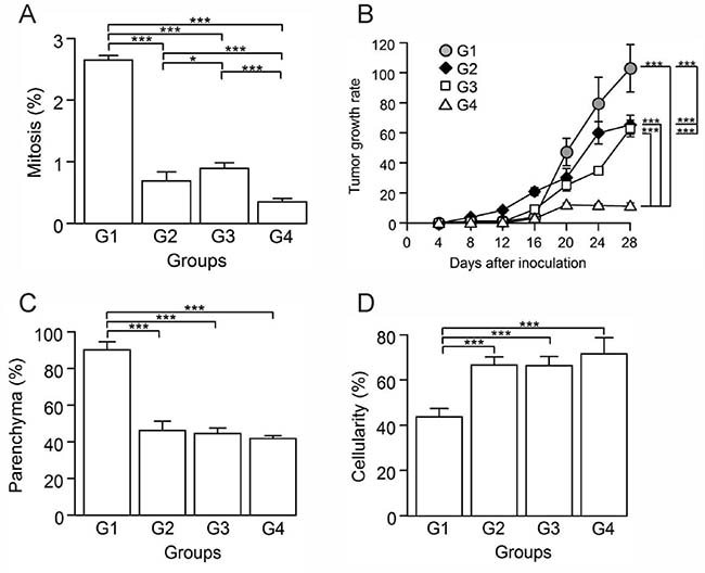 Autologous tumor cells/BCG/formalin vaccine inhibits tumor cell proliferation and the growth of 4T1 murine mammary tumors.