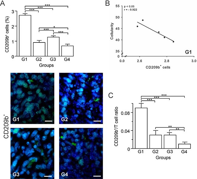 Autologous tumor cells/BCG/formalin vaccine changes the dynamics of tumor-infiltrating APCs in 4T1 breast cancer model.