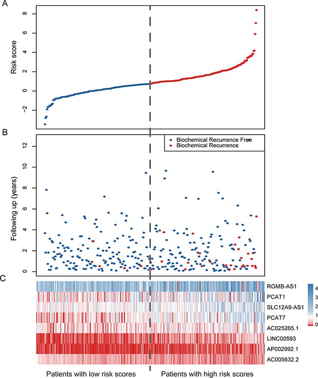 LncRNA risk score analysis of the entire TCGA cohort.