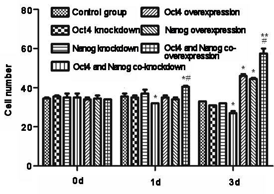 Modulation of Oct-4 and Nanog expression alters the invasiveness of cancer stem cells (CSC) in vitro.