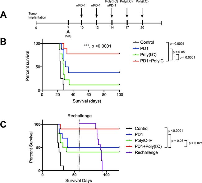 TLR3 activation + anti&#x2013;PD-1 demonstrates superior survival profile compared to monotherapy regimens.