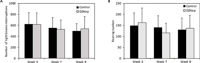 Effect of chronic DZNep injections on spontaneous locomotor activity.