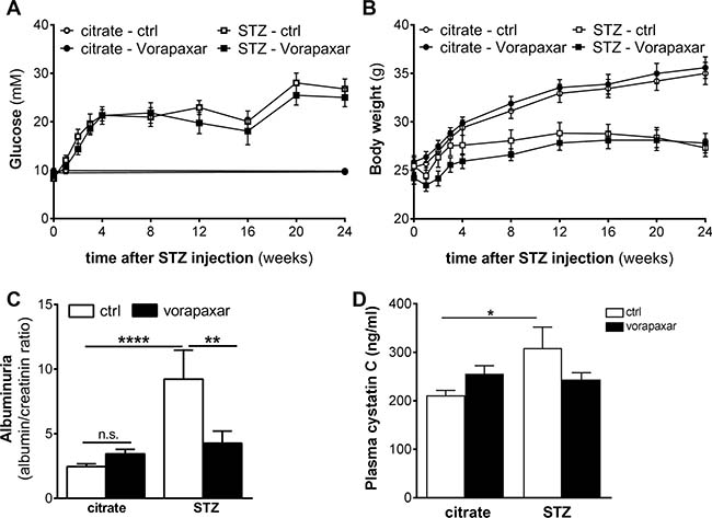 Reduced nephropathy after vorapaxar treatment in streptozotocin-induced diabetic mice.