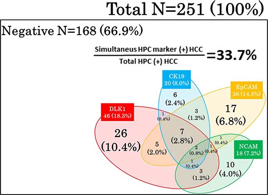 Expression pattern of HPC markers in HCCs.