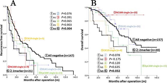 Kaplan-Meier analysis of survival among patients with HCCs positive and negative for HPC markers.