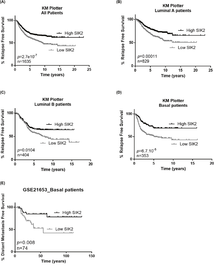 High SIK2 expression is associated with better survival in breast cancer patients.