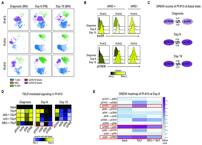 Primary chemotherapy-resistant cells display the CRLF2-driven pro-survival network.