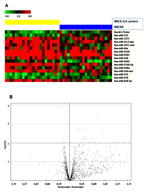 (A) Heatmap showing miRNAs significantly (p&lt;0.001) deregulated in BRCA1/2-related breast (left) tumors and BRCAX (right).