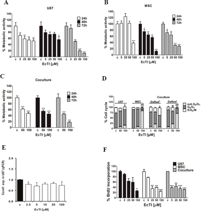 Effects of EcTI on cell metabolic activity and proliferation.