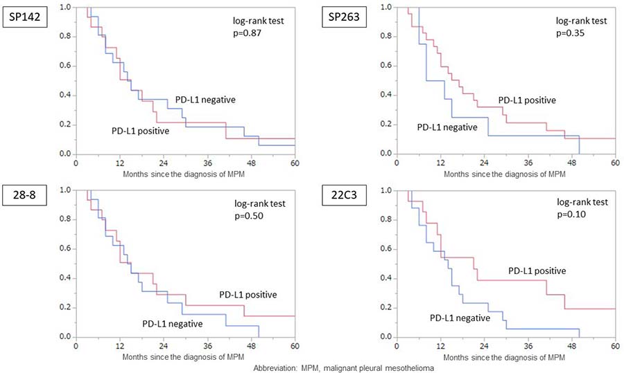 The MPM overall survival according to the PD-L1 expression of tumor cells according to each assay.