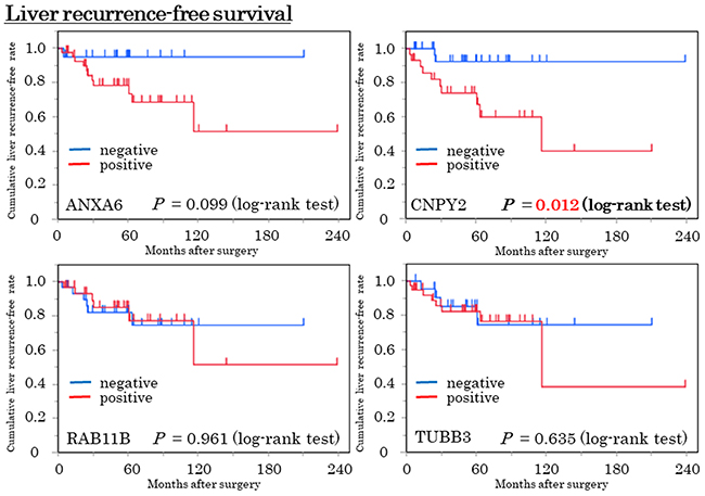 Liver recurrence-free survival (Liver RFS) curve in the expressions of the 4 candidate proteins by the Kaplan-Meier method.