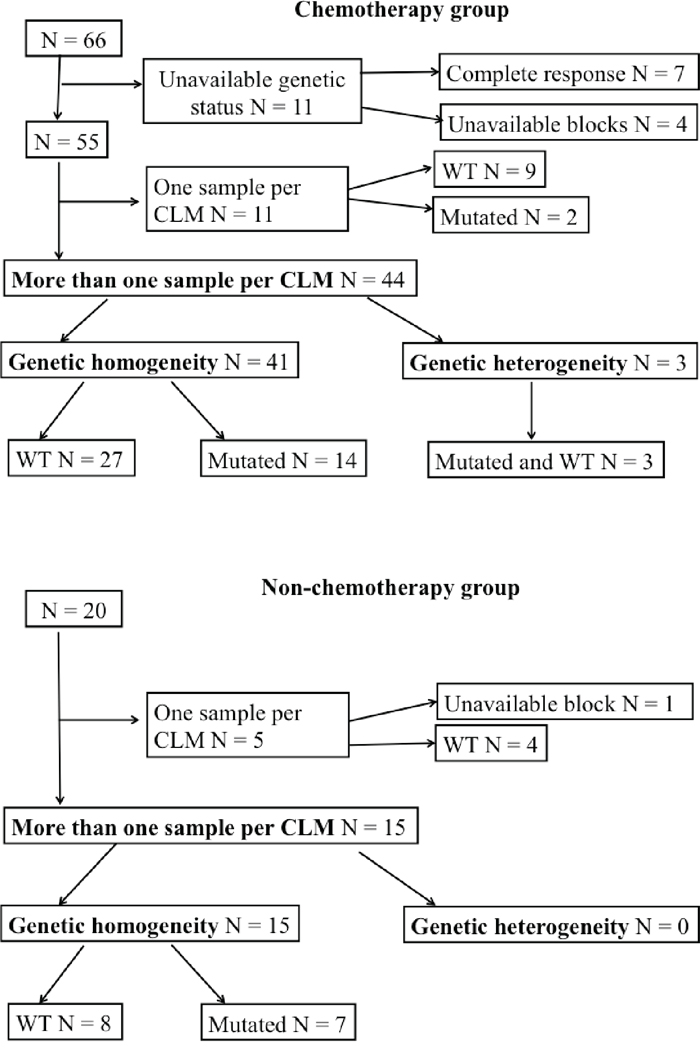 Gene somatic profile in the chemotherapy and non-chemotherapy groups, respectively.