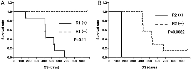 Overall survival (OS) curves according to CD8&#x002B; T-cell responses.