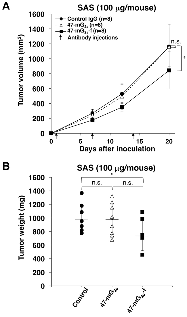 Antitumor activity of 47-mG2a and 47-mG2a-f against SAS xenografts.